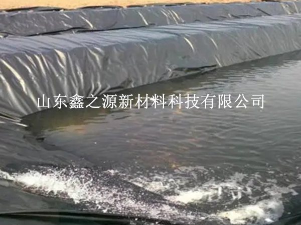 魚塘防滲膜的選擇需要考慮哪些要求？